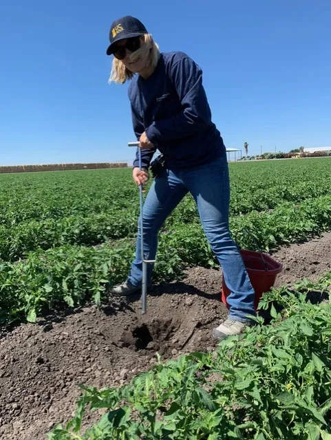 Caddie in field
