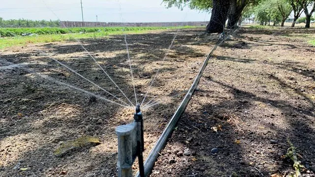drip setup