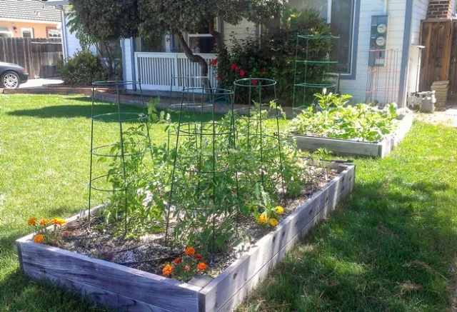 home garden
