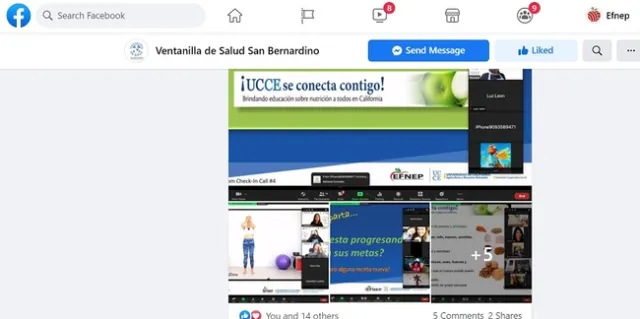 VDS FB PIX 1-small