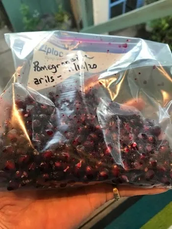 Bagged Arils