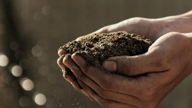 Healthy vegetable garden soil allows water, air, roots, and microorganisms to move easily. Gabriel Jiminez, Unsplash