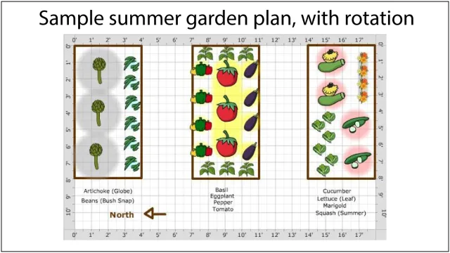 Sample-Summer-plan