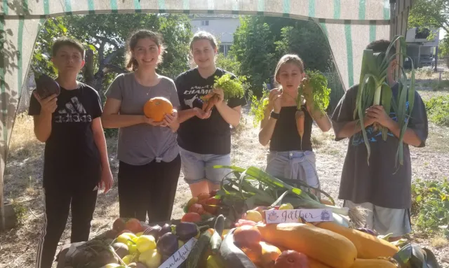 Homesteaders Garden Project