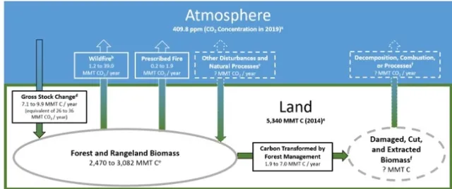 carbon movement