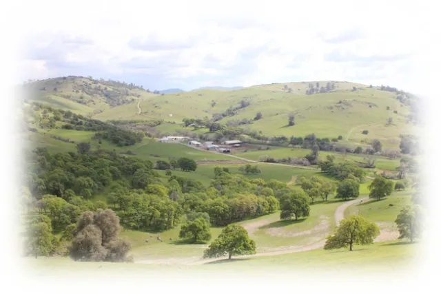 SFREC Landscape