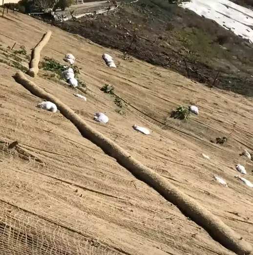 Understanding wildfire impacts
