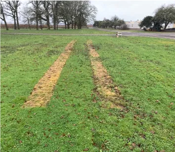 Figure 3. Area treated with Electric Weed Control.