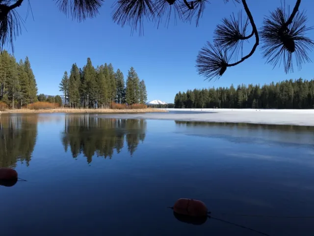 Icy weekend
