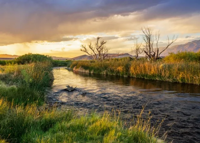 Owens River north of Bishop. Photo by Dustin Blakey