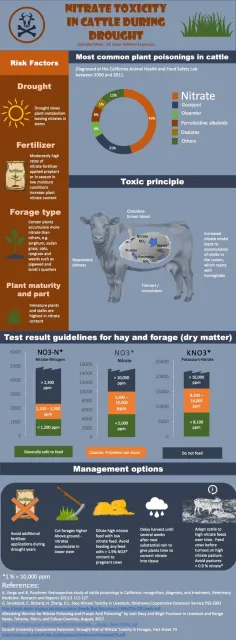 Nitrate infographic