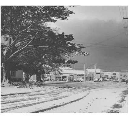 hail pr hueneme