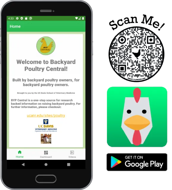 BYPC_PhoneQRLogo