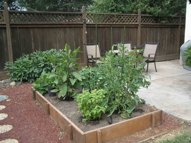 Drip irrigation in raised vegetable beds, Laura Lukes