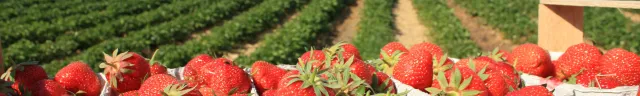 agtourisum2