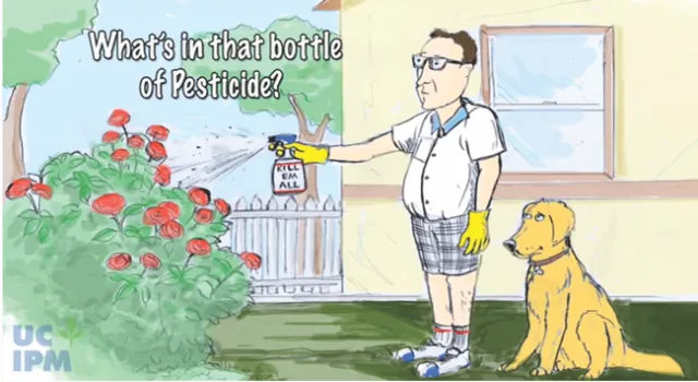 UC IPM video