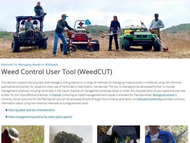WEED CUT