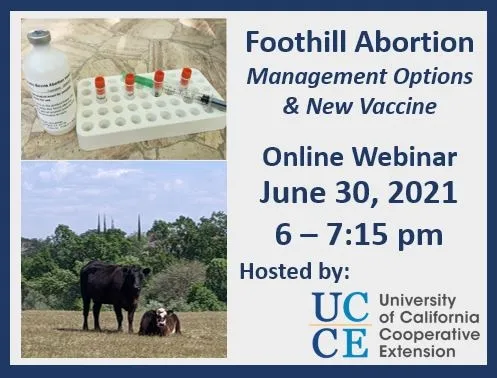 foothill abortion workshop