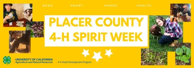 spiritweekblog