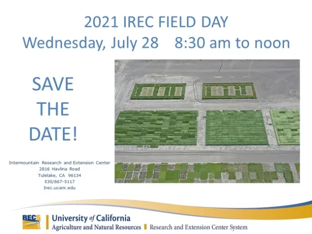 Save the Date!