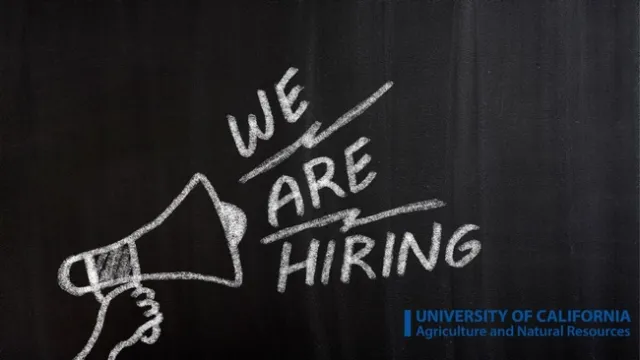 We are hiring
