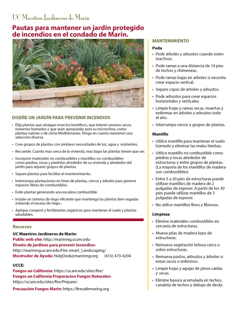 Fire Smart Spanish_back