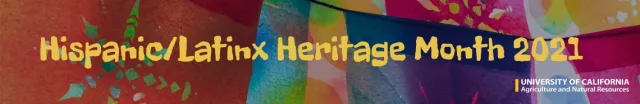 HHM-English