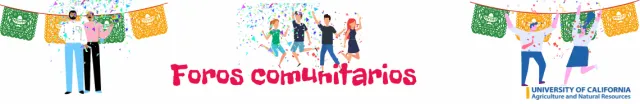Foros comunitarios