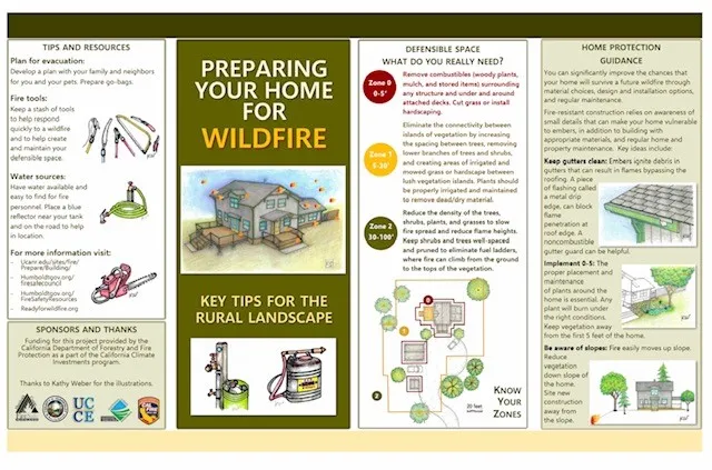 brochure 1