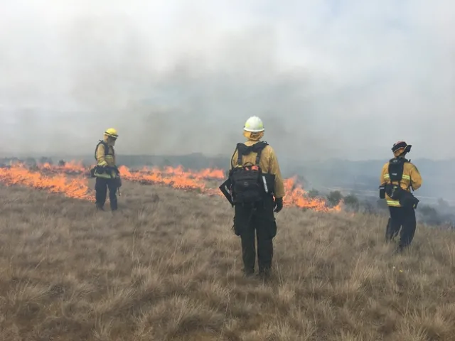 Prescribed burners