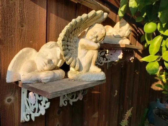 Photo 4