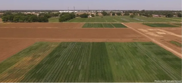 Davis 2020 21 Trial