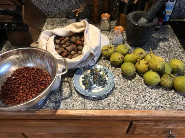 From left, common manzanita berries, black oak acorns, California wild grapes, salt and black walnuts. 