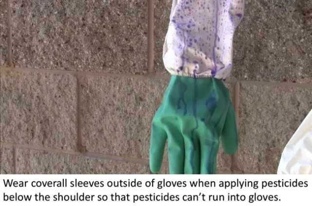 gloves green