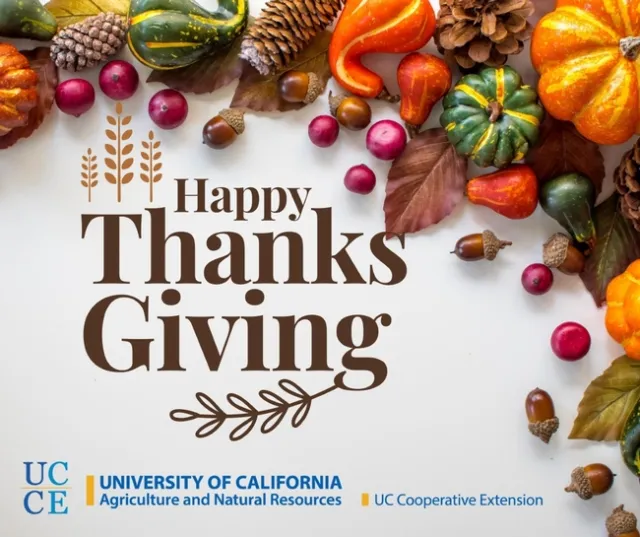 Happy Thanksgiving!