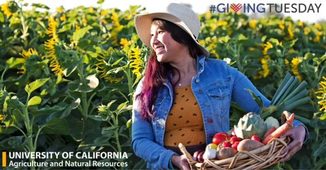 GivingTuesday