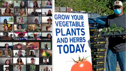 On the left is a Zoom gallery of faces. On the right is a man wearing a face mask holding a flat of seedlings beside a sign that reads,