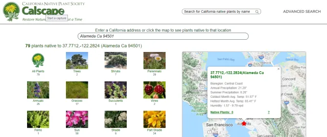 CalScape Site