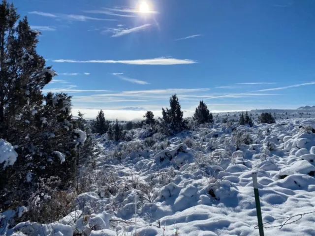 Dec 20 1