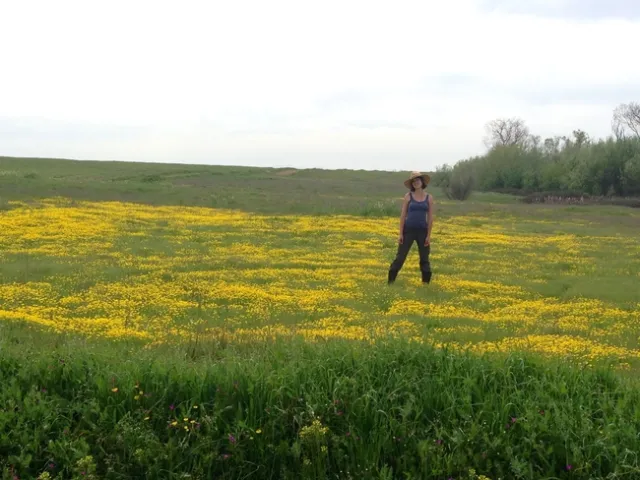 La investigadora Julia Michaels de pie en un área de plantas endémicas de las zonas altas de California. Fotografía cortesía de Julia Michaels