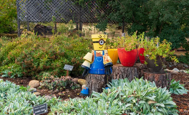minion