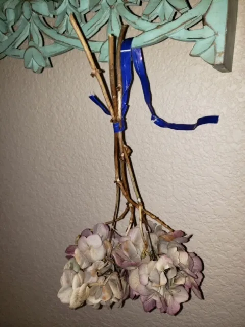 Drying stems.