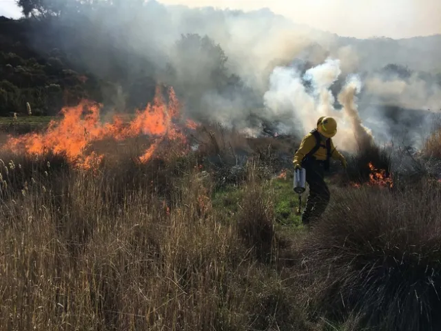 April 2 3rd Prescribed firelighter and wildland firefighter training (FFT2)