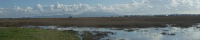 The Delta