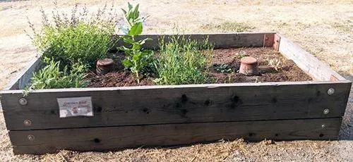 gardenbox