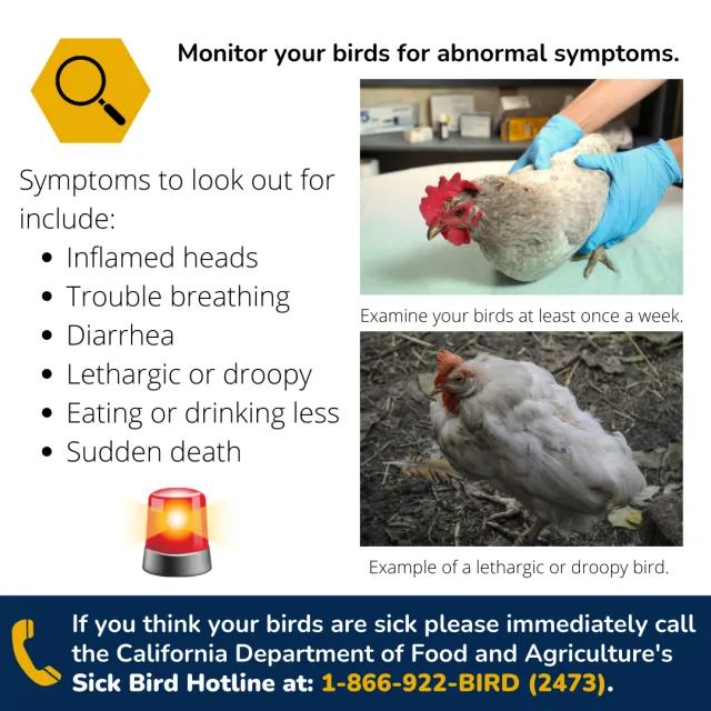 Biosecurity 5