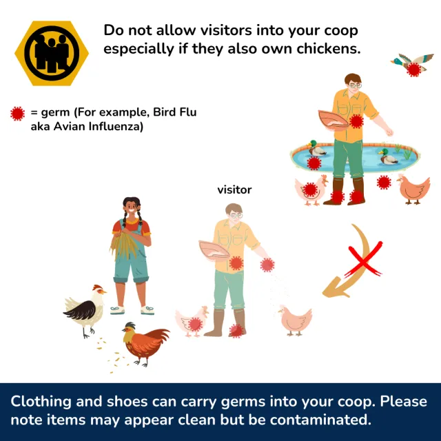 Biosecurity 2