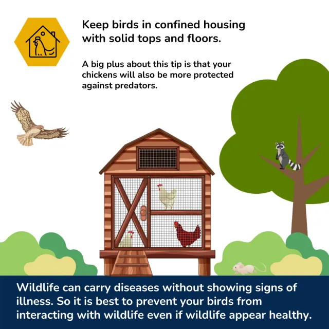 Biosecurity 4