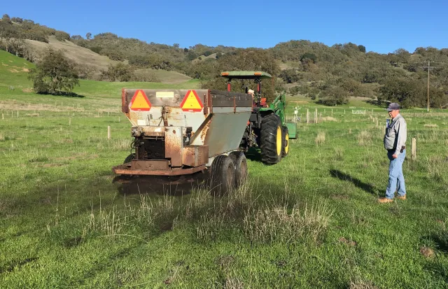 Compost