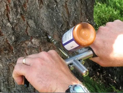 trunk injection